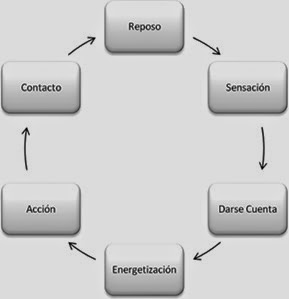 ciclo de la experiencia