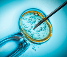 La-reproducción-asistida-¿salud-o-ideología-490